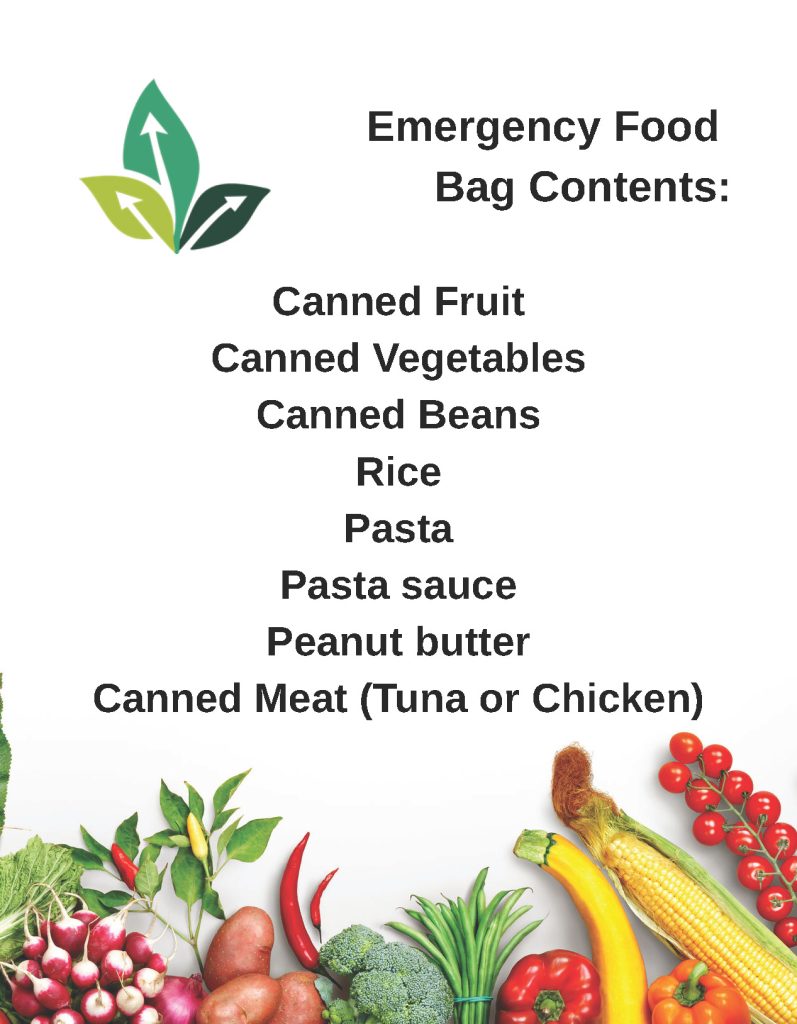 Emergency food bag contents